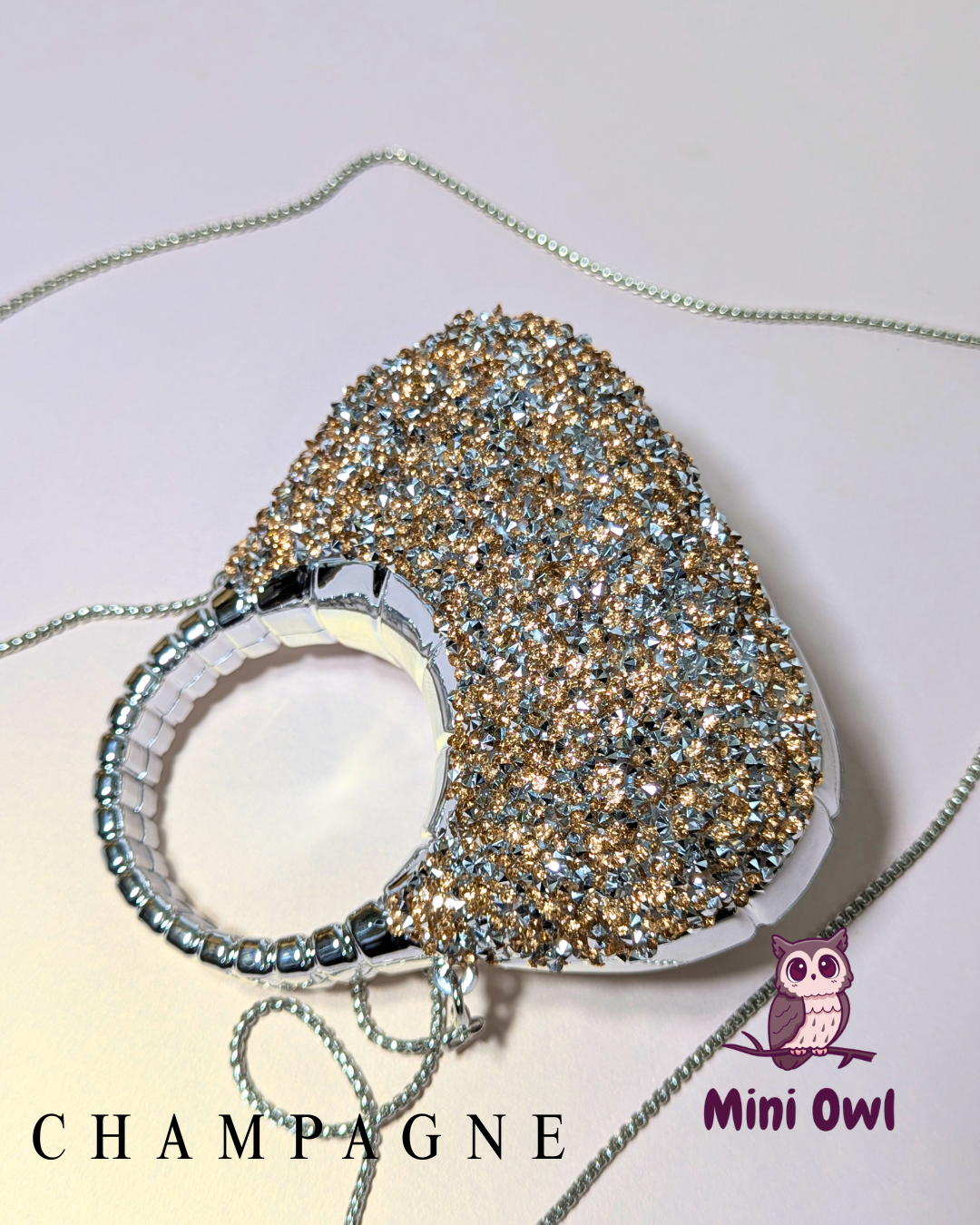 Rhinestone-encrusted acrylic mini clutch